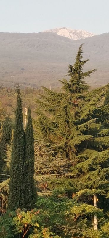 �������� ����: �������� � ��������� � ������ �������� �������