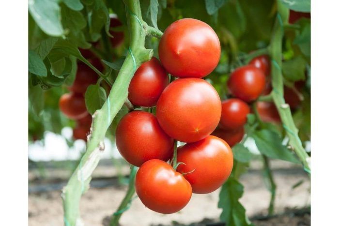 ������� ������ ������: ��� ��������� ������� ����� � ����� ����