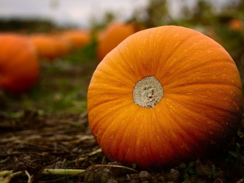 ����� �� ����������? ��� ��� ������, ������� ������ ������