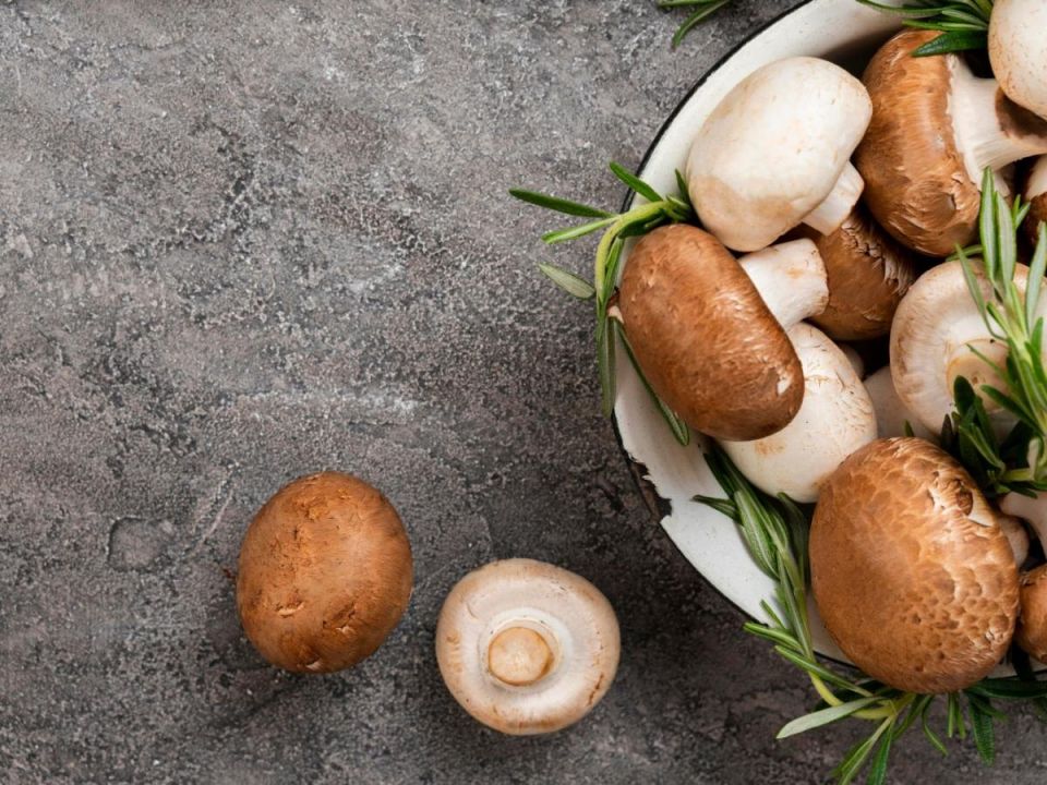 ��� ��������� ���������� ���� ��� ����� � ������� ��������� ������