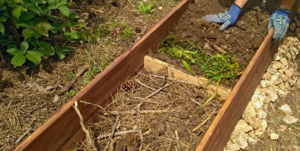 ������ �� ������ ���������� ������