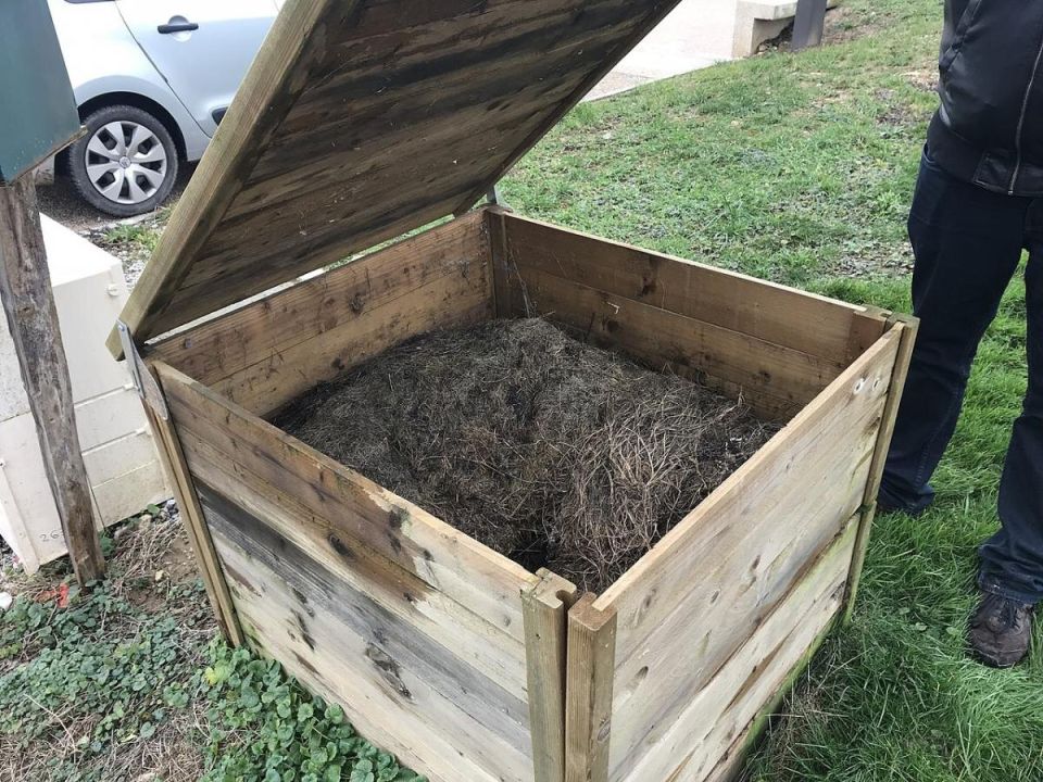 ������� �������� ��������� � ���������� ����� � ������ ��������