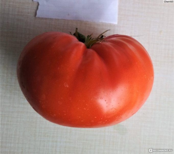 ����� �������� ������: ���������� ���� � ������� ������ � ����������� ����������������