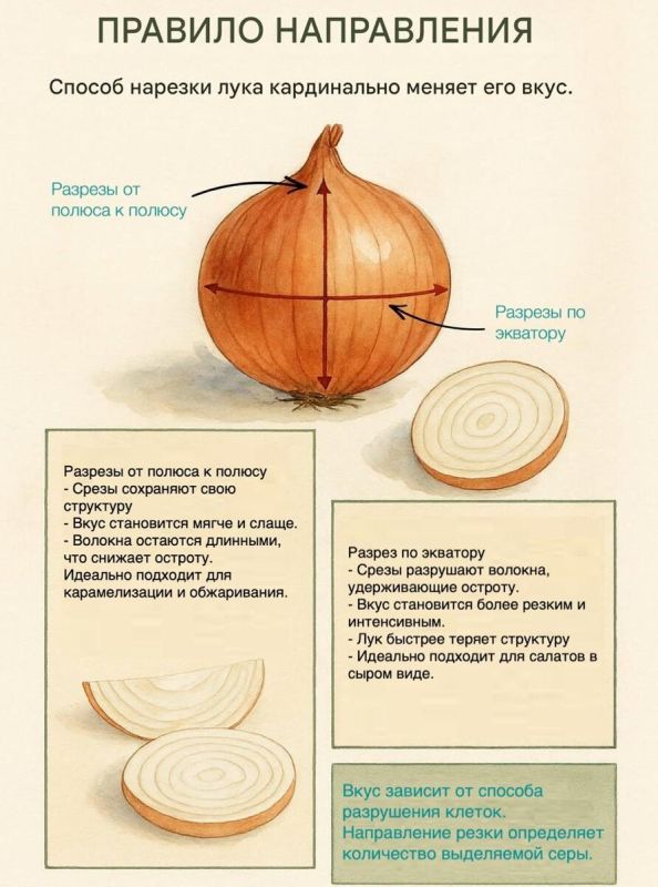 ��� ������� ���� ������ ��� ����