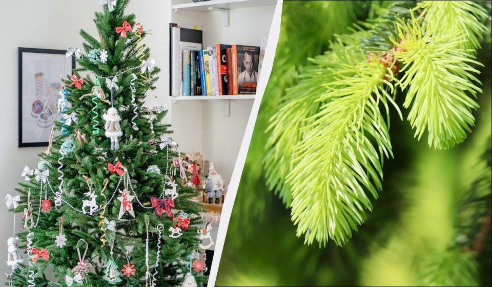 ��� ����� ������� ���������� ���� ����� ���������� � ������ ���������