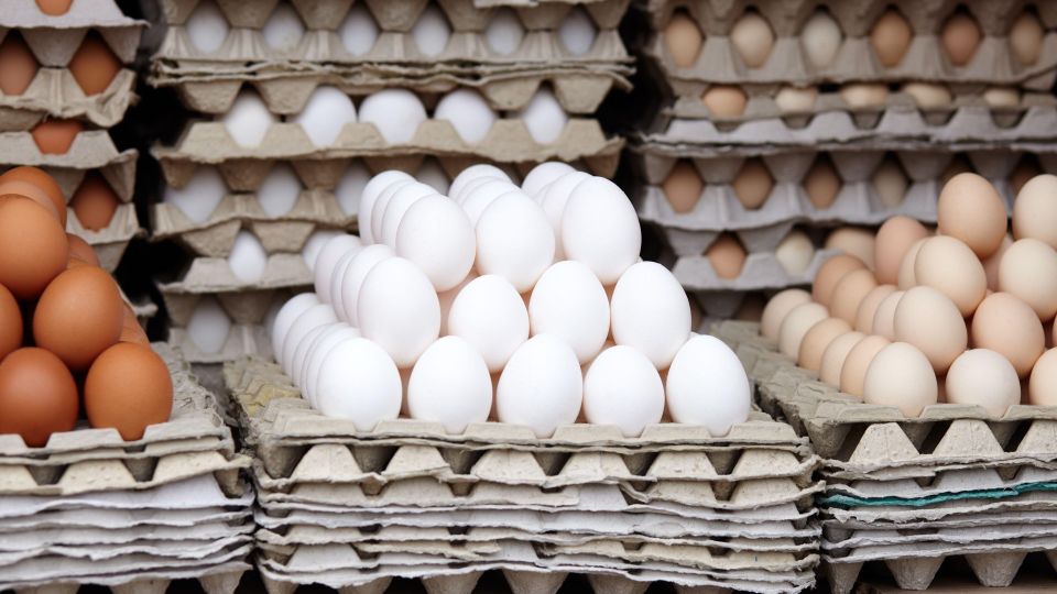 Умные дачники не выбрасывают лотки из-под яиц: нужны не для рассады