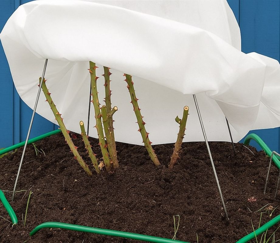 ������� ��������� ������� �������� �� ����: ������ � ��������