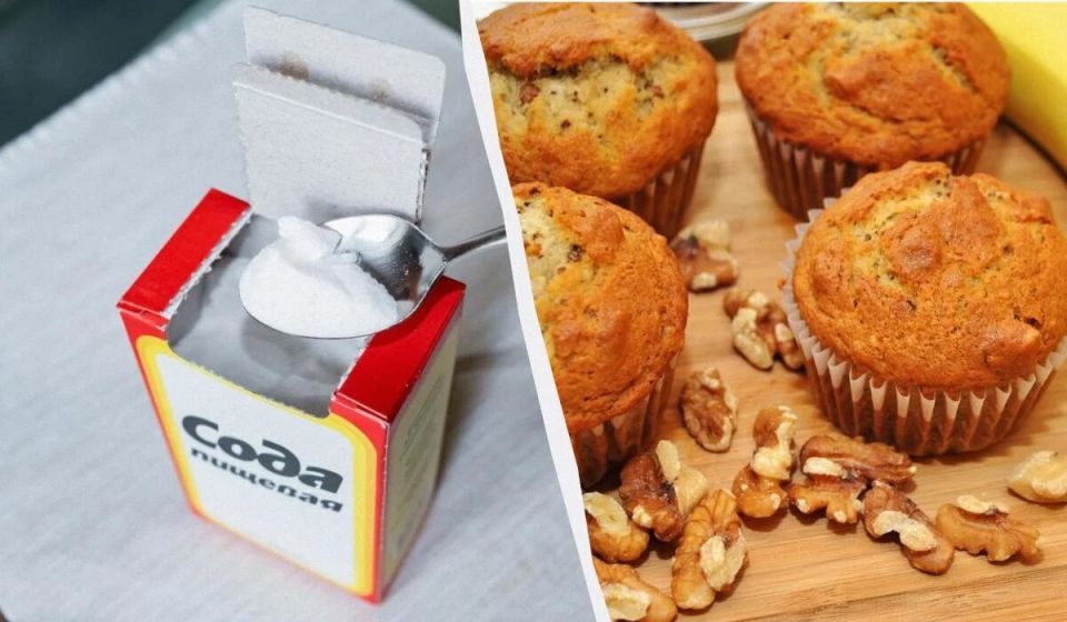 ��� �������� ������������: ���������� ���� ��� �������� �������