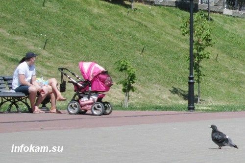 Пенсия: что нужно знать о покупке пенсионных баллов в 2026 году