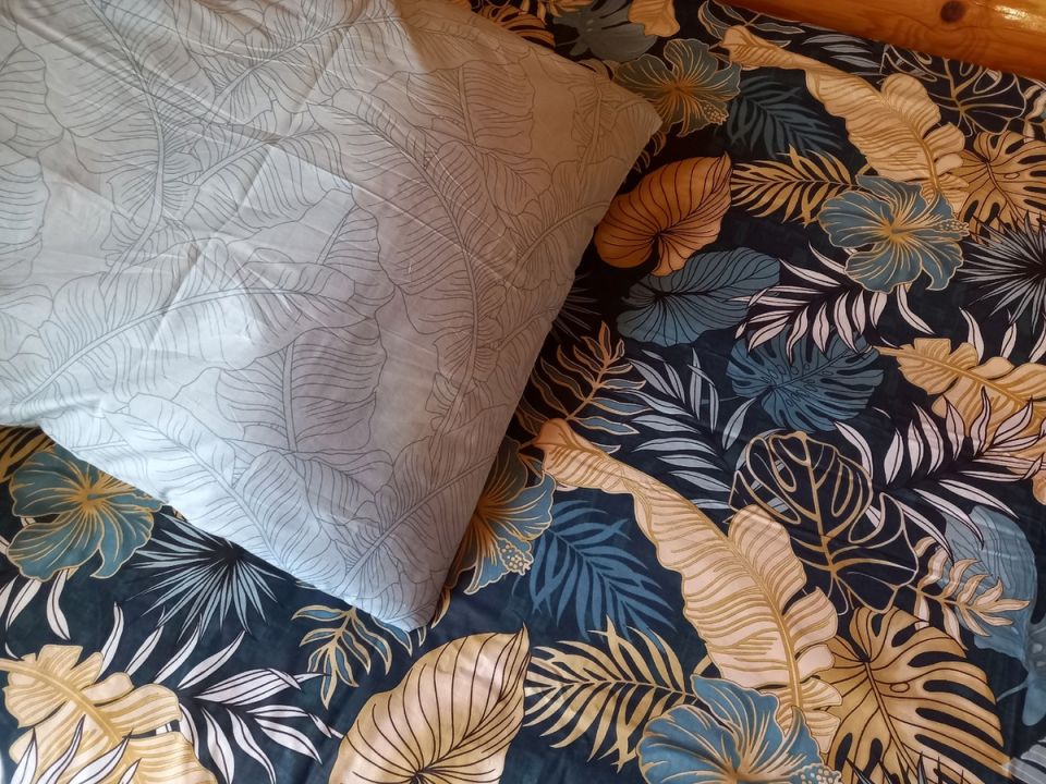 �� ����� ��������� �� ���������� �����: ��� ���������� �� ������ �����