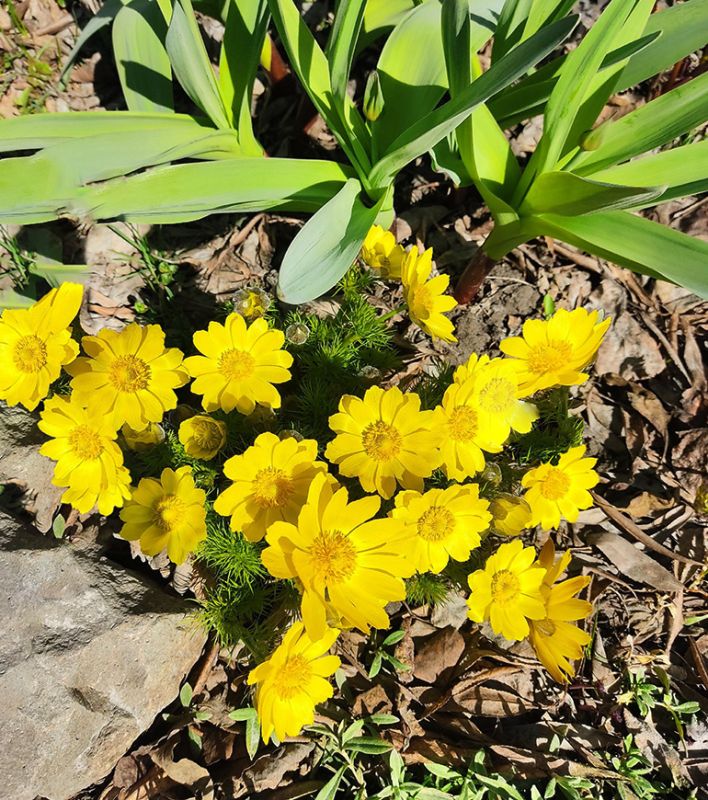 �������� ���: ��� ������ ���� � ������ ������