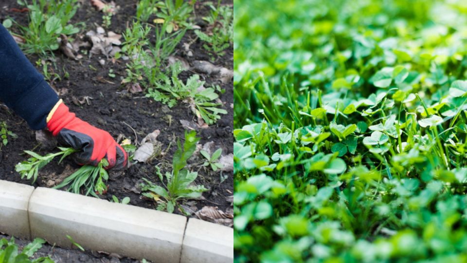 ��� �������� �������� ��� ������ � �������: ������ � ������� ��� ������� �������