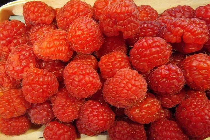 ���� ���������, ������� ������� ��� ������ ��� �� ������