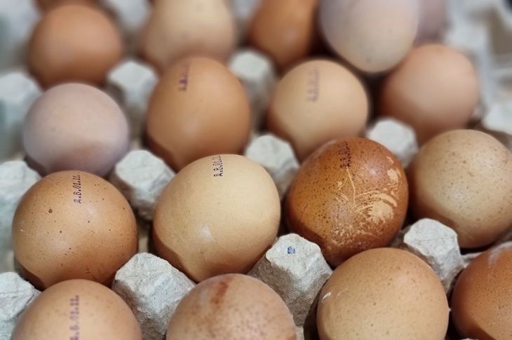 � ������� ��� ��������: � ����� ���� ����� ������ ���� ��� �����