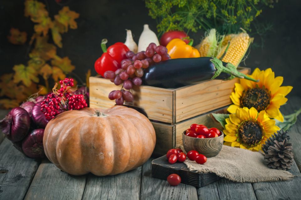 ��� ���� � �������: ������� ���������� �� �����