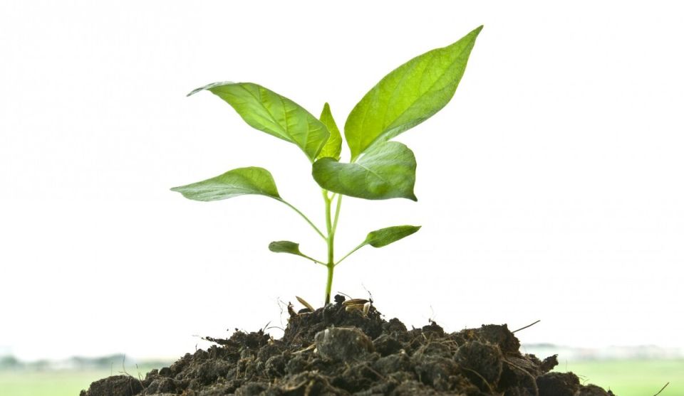 ����������� ������� �����: ������ � ��������