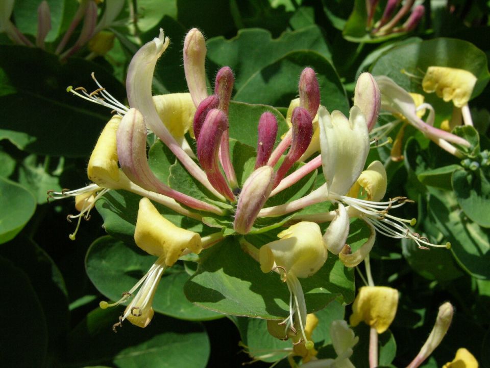 ��������� � �� �����������: ����� ���������� �������� ����������