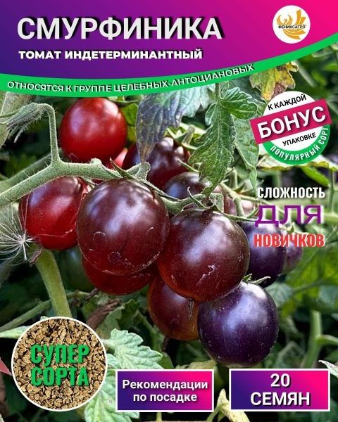 ����� ����������: ���������� �������� ��� ������ �������