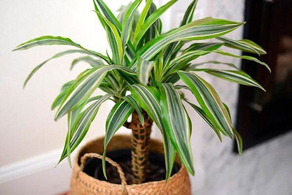 �������: ��� ������� ���� ��� ���� � ����� � ����