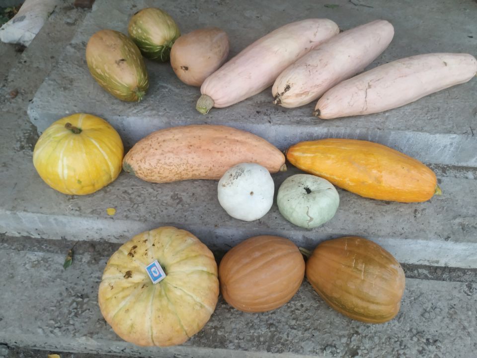 ������������ �����: ������ ������ ����� ����� ���������� ���������