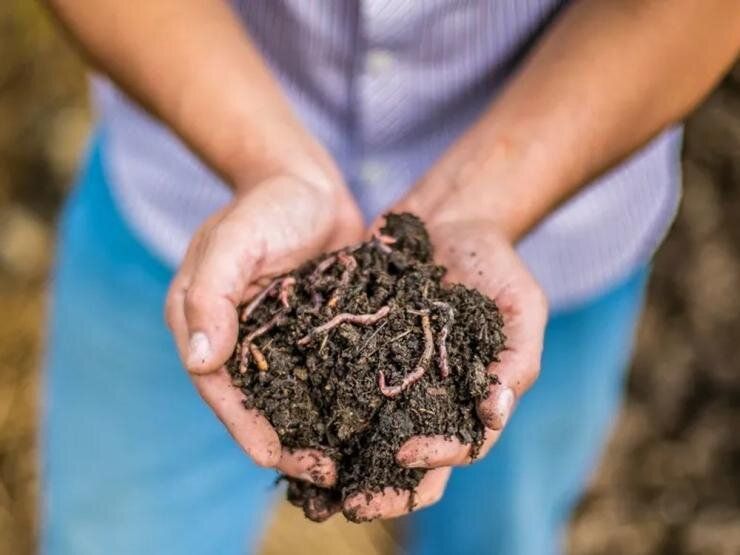 ��������: ������ �������� �������� � ������� ����� ������