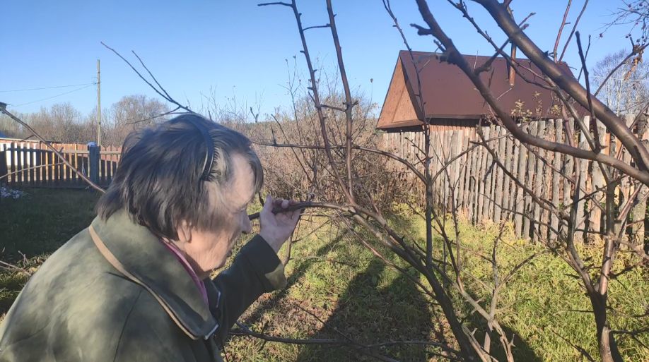 ��������� �������: ������� ���� ����� ����� �������� ������ ��������