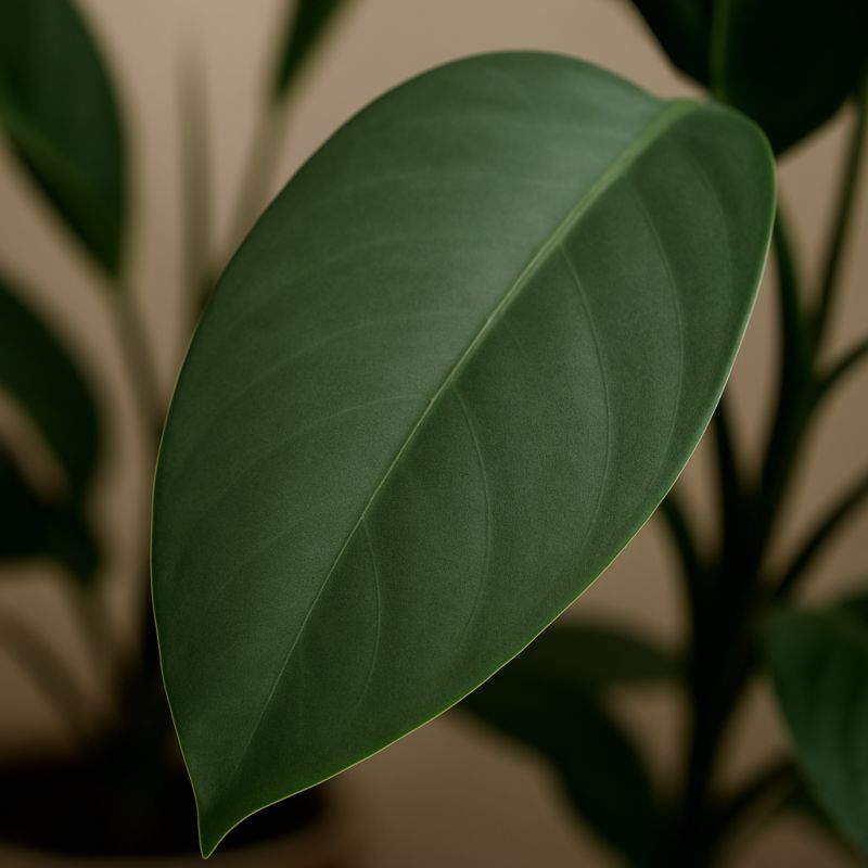 ������ ������ �������� ������ �����