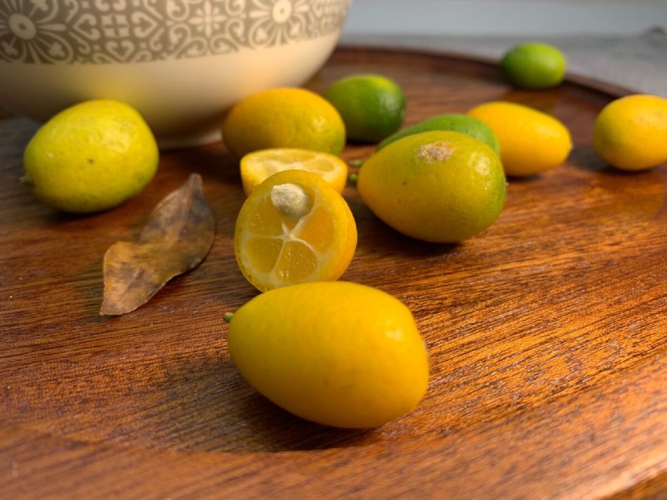 ������: ����� ����������� ����� � ����� �������