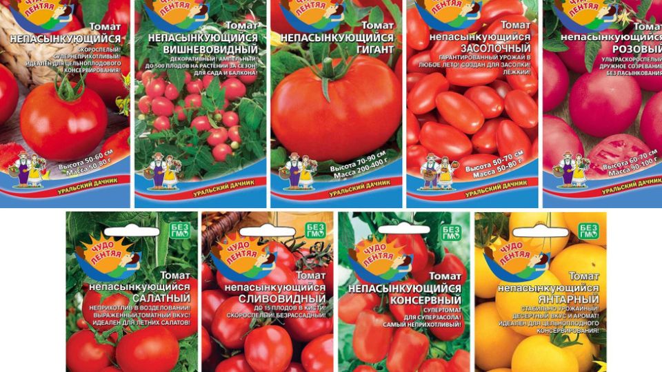 ��� ������������ � �������� �������� ������ � ������� ��������������