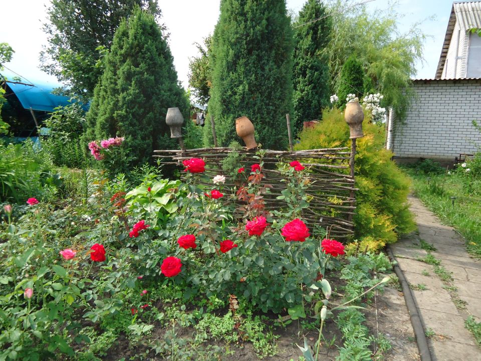 ��� ��������� ������ �������� �� ����: ������ ��� ���������