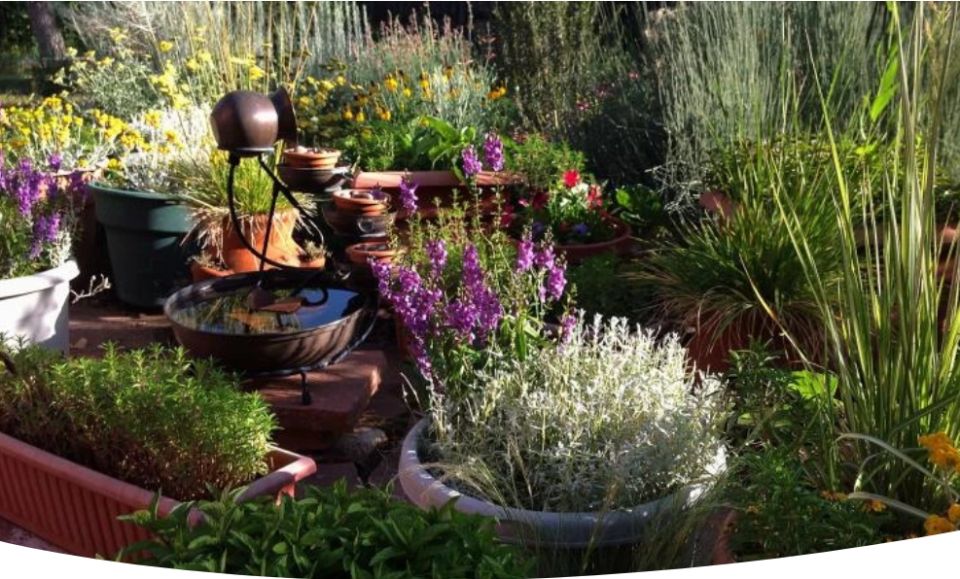 Контейнерный сад: искусство цветочных композиций для вашего уголка природы