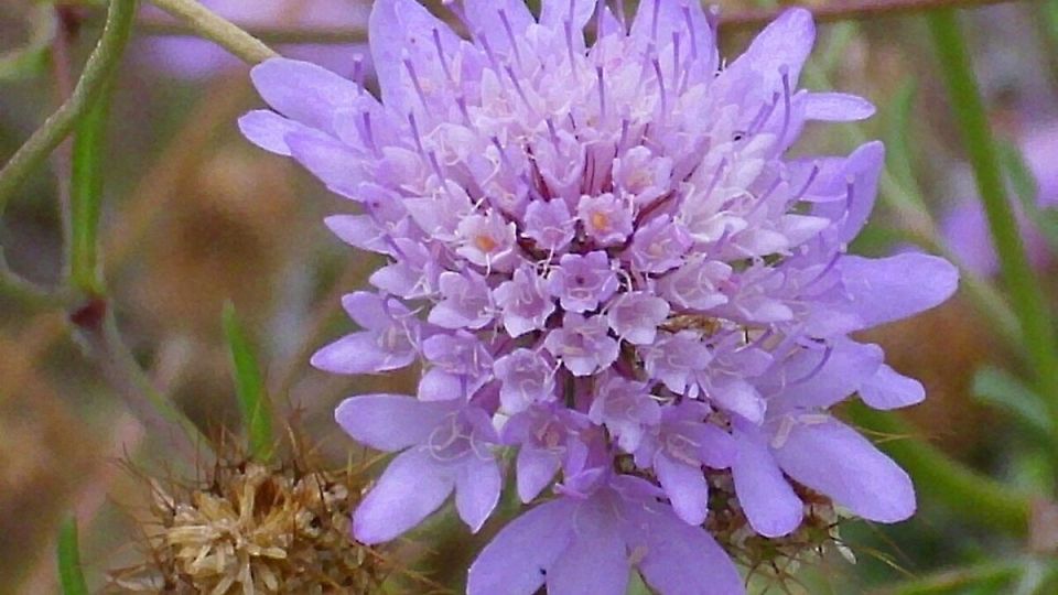 ��������: ������, ������� ������� ��� ��� � �������� ������