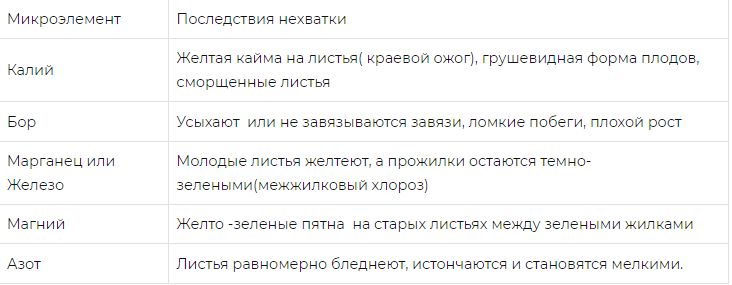 ��� ������ �������: ���������� ����� � ��� �����������